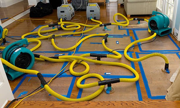 Professional Basement Flood Cleanup technician working in Edgemoor, SC